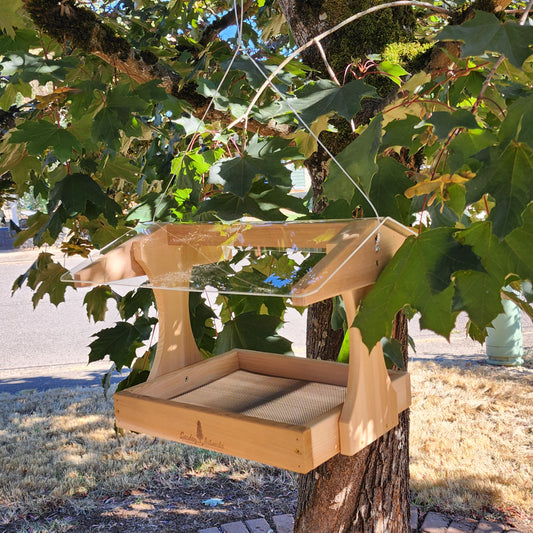 Large Outdoor Feeder with Drainage & Seed Freshness Design