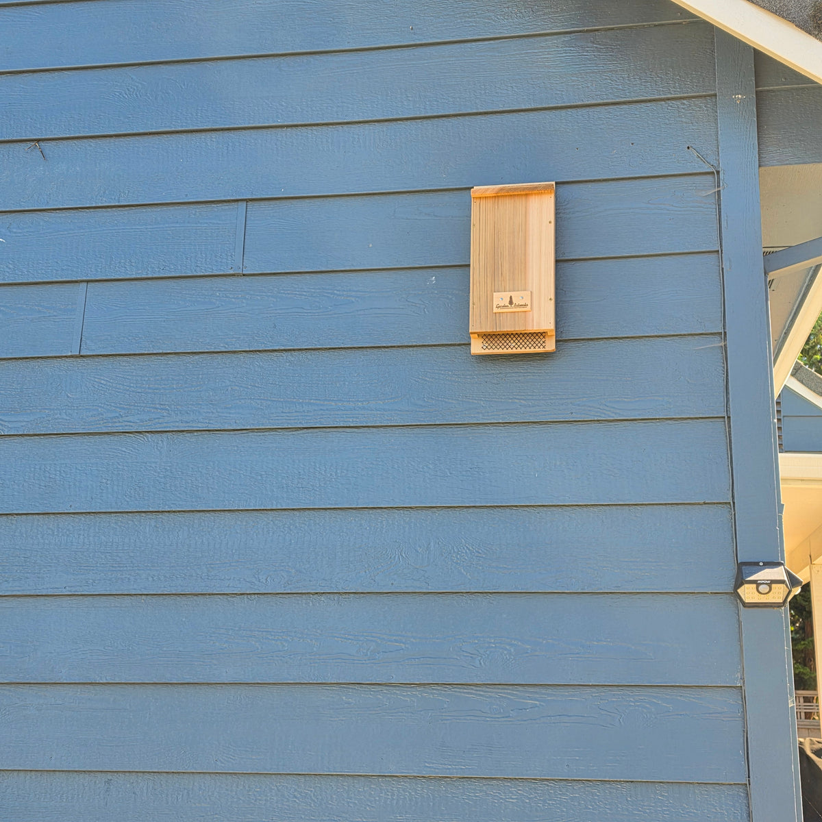 Premium Handcrafted Cedar Bat House - Single Chamber