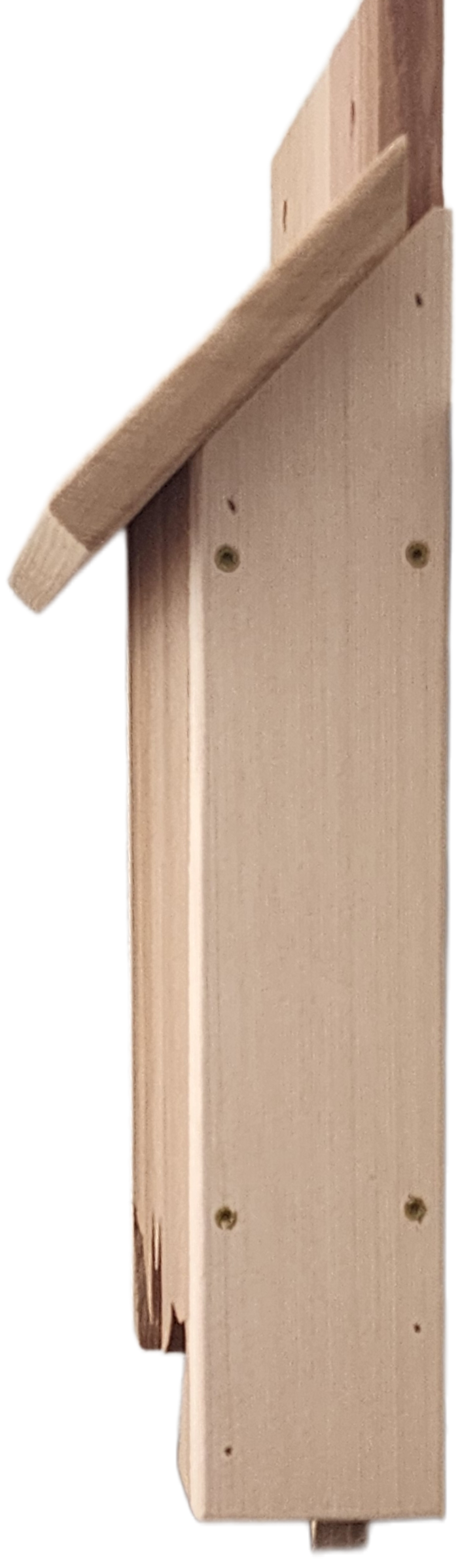 Bat House One Chamber